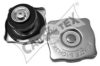 FIAT 4469385 Radiator Cap